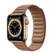 Apple Watch Gold Stainless Steel Case with Leather Link